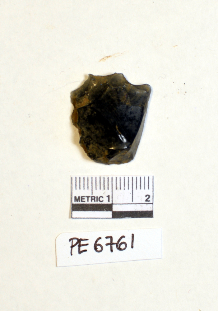 scheggia (non determinabile)