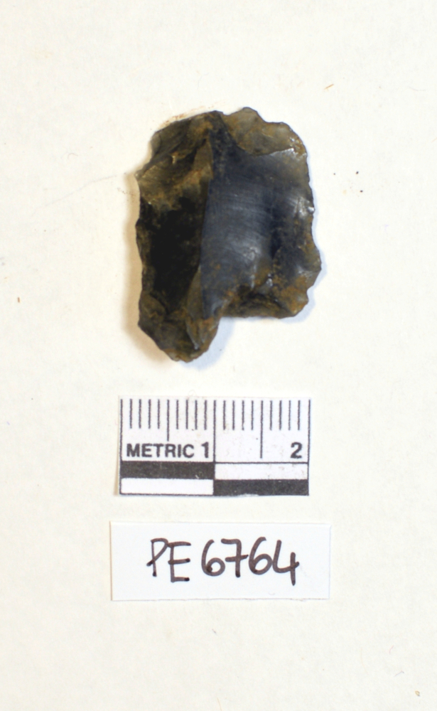 scheggia (non determinabile)