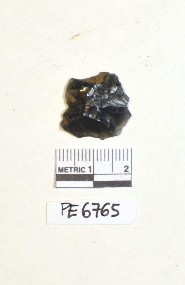 scheggia (non determinabile)