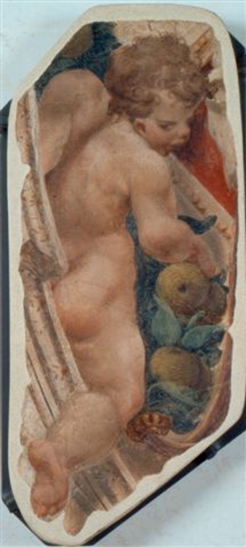 Putto, Putto (dipinto - dipinto murale, ciclo) di Orsi Lelio (attribuito) - ambito emiliano (terzo quarto XVI)