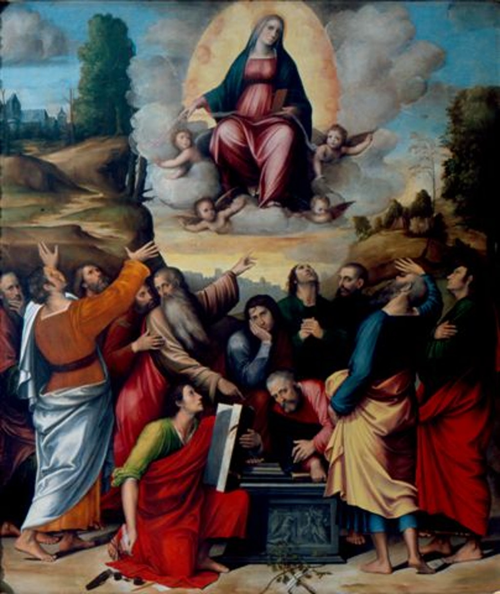 Assunzione della Vergine, Assunzione della Vergine (dipinto - olio su tavola, opera isolata) di fratelli Francia (Giulio e Giacomo) (attribuito) - ambito emiliano (primo quarto XVI)