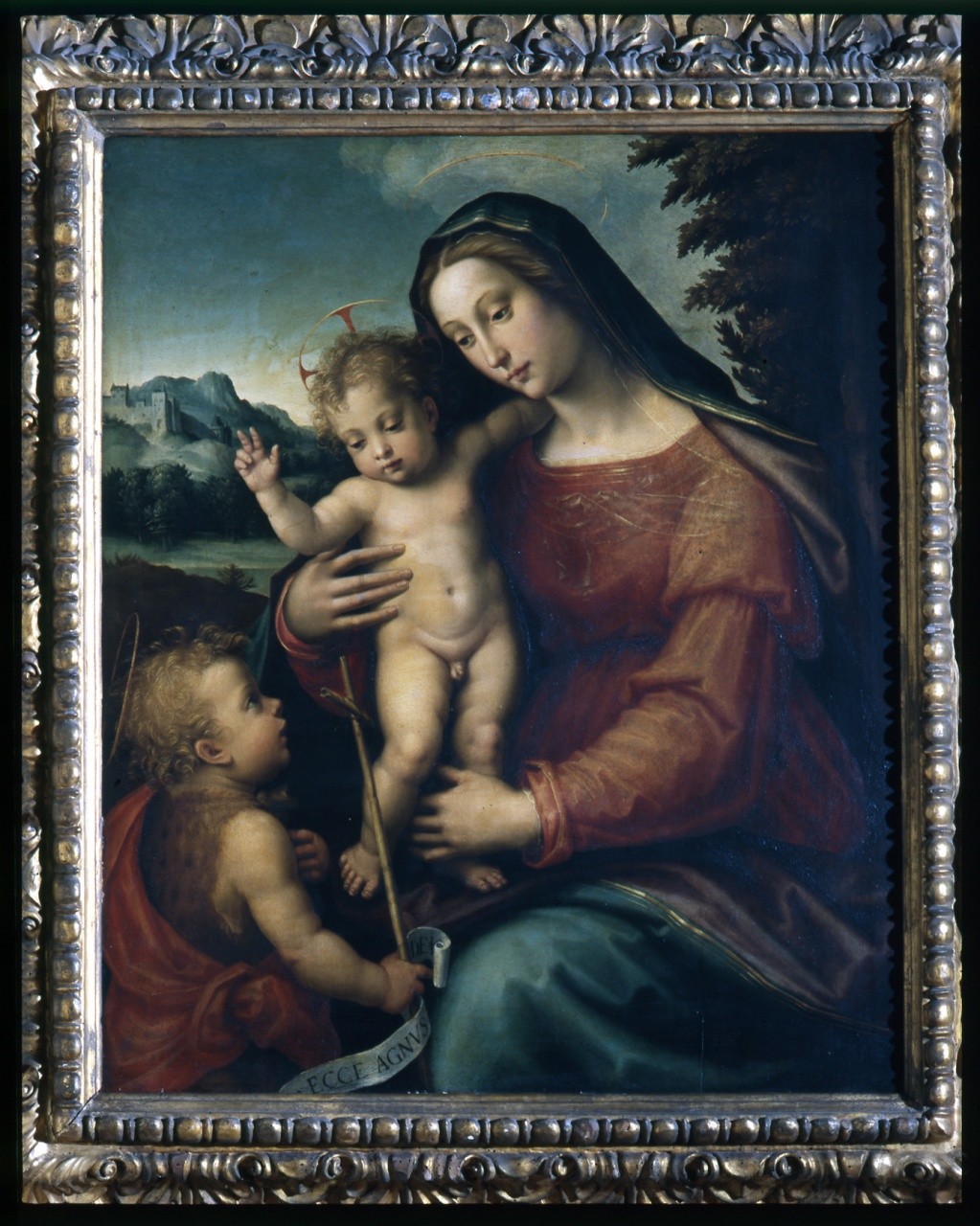 Madonna con Bambino e San Giovannino (dipinto) di Sogliani Giovanni Antonio (primo quarto sec. XVI)