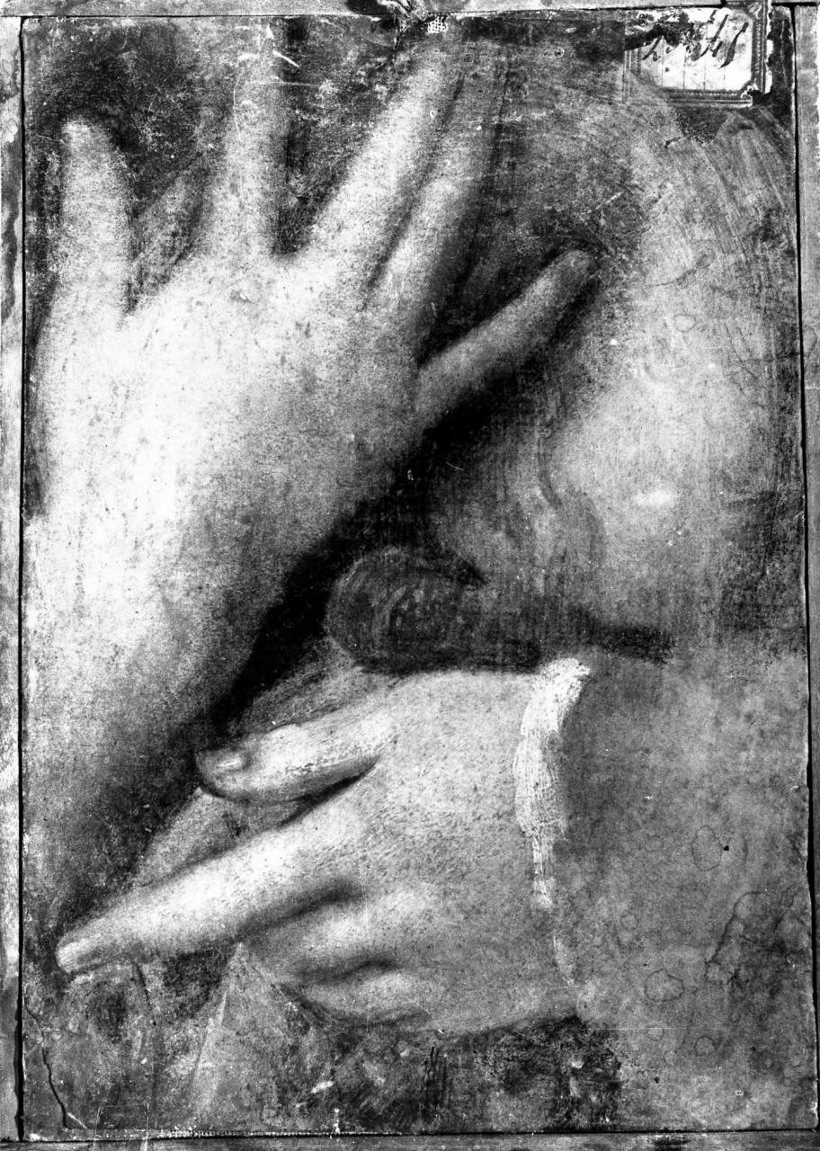 studio di due mani femminili (dipinto) - ambito fiorentino (sec. XVII)