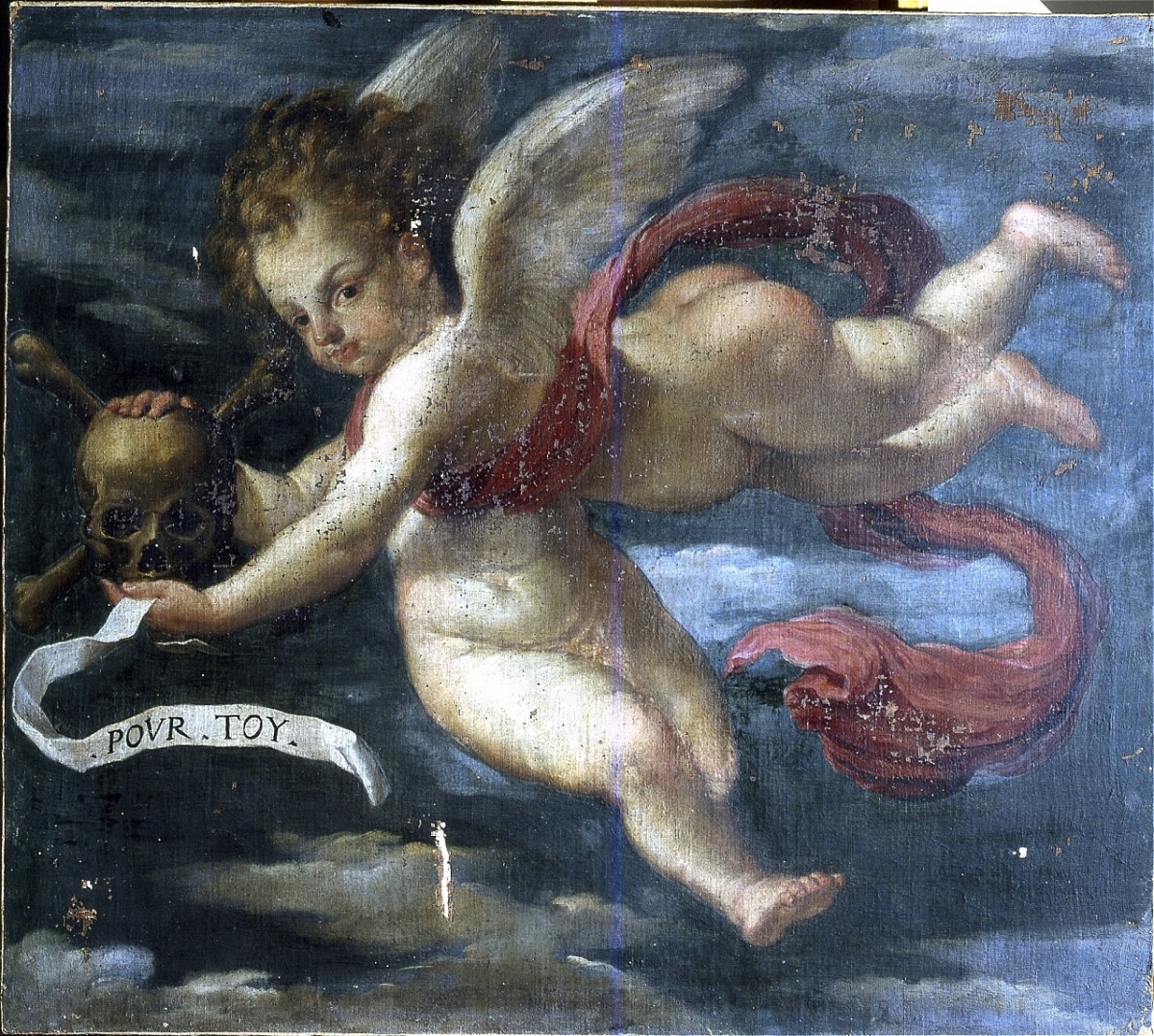 angelo con teschio (dipinto) - ambito fiorentino (inizio sec. XVII)
