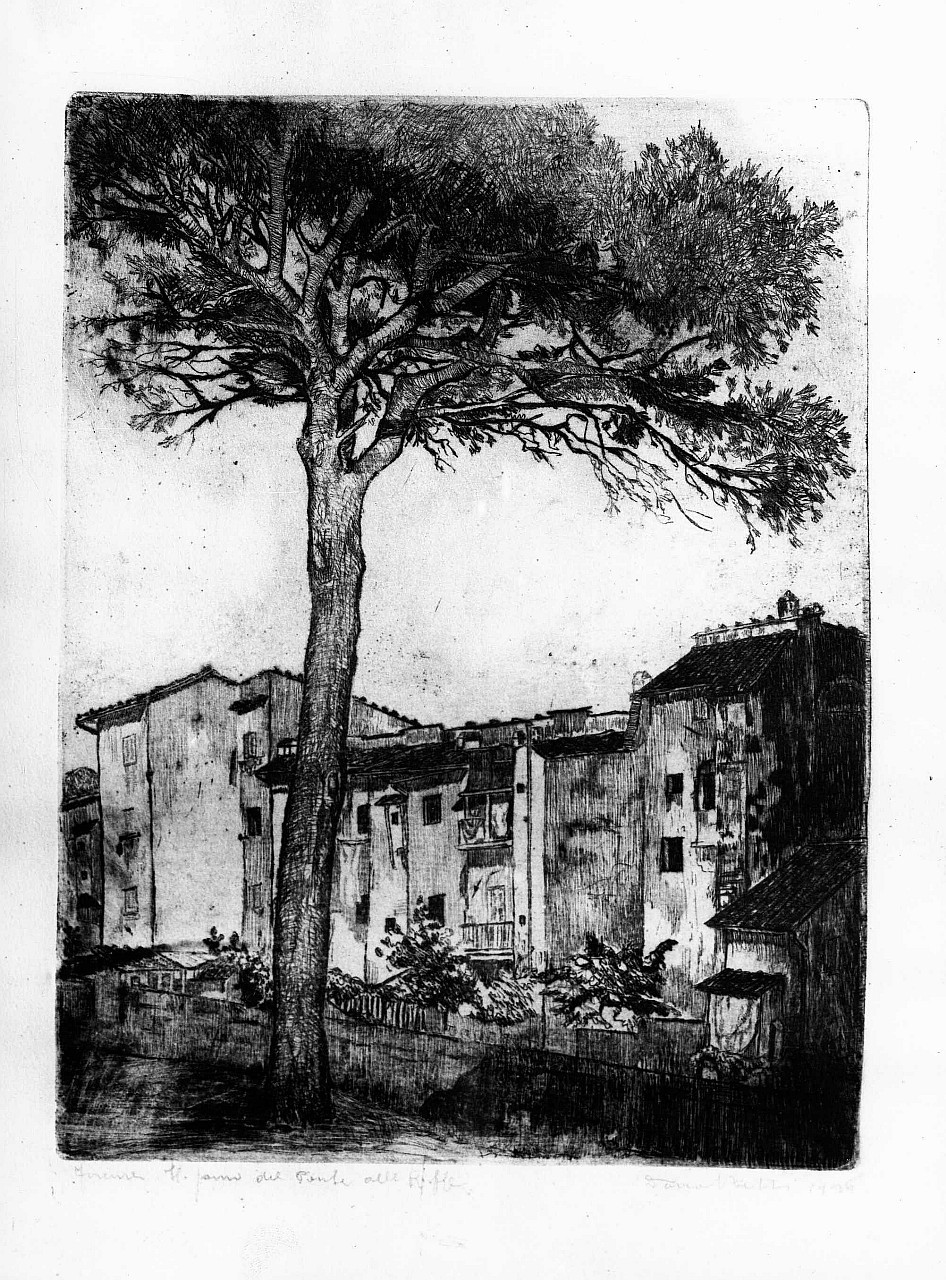 Il pino del Ponte alle Riffe, veduta (stampa) di Betti Dario (prima metà sec. XIX)