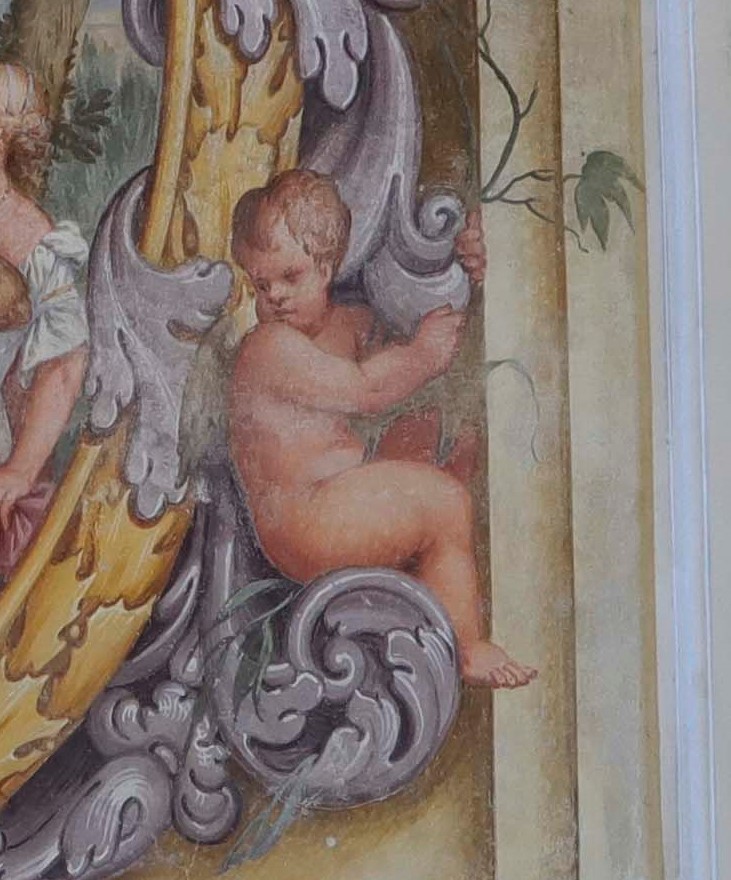 Putto (dipinto, elemento d'insieme) di Primon, Michele (attribuito) - ambito veneto (ultimo quarto XVII)