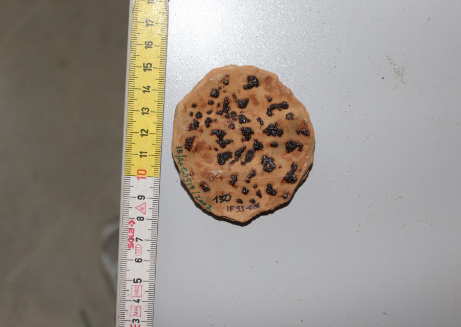 ANFORA/ tappo - ambito romano imperiale (seconda metà sec. II d.C)