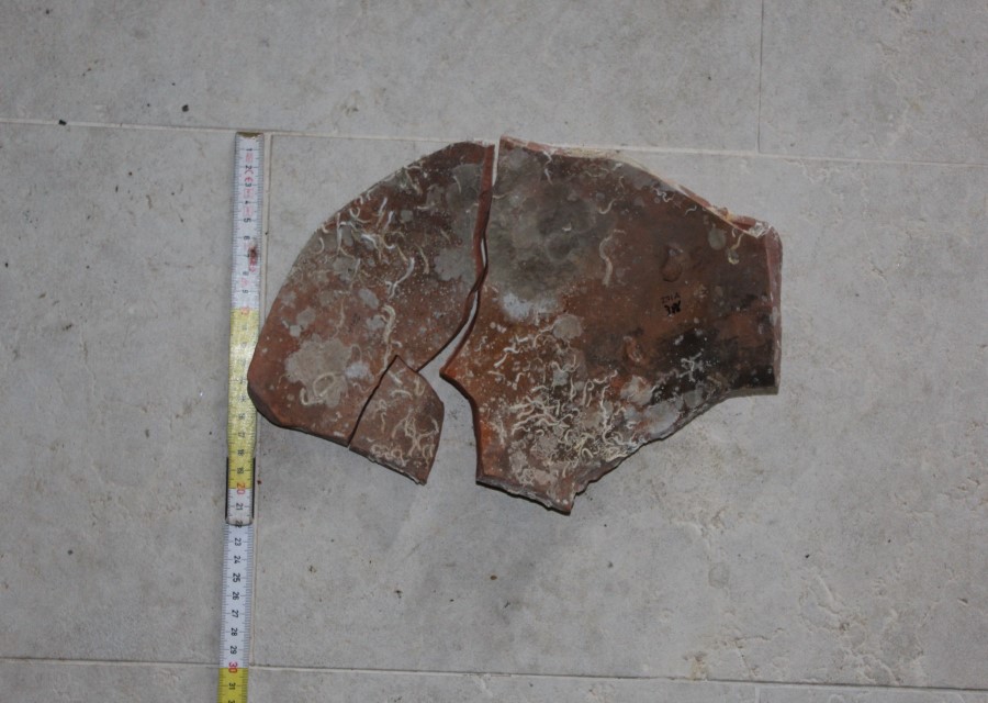 ANFORA, Africana 1a - produzione africana (seconda metà sec. II d.C)