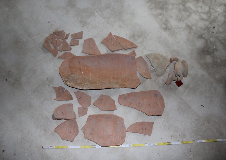 ANFORA, Africana 1a - produzione africana (seconda metà sec. II d.C)