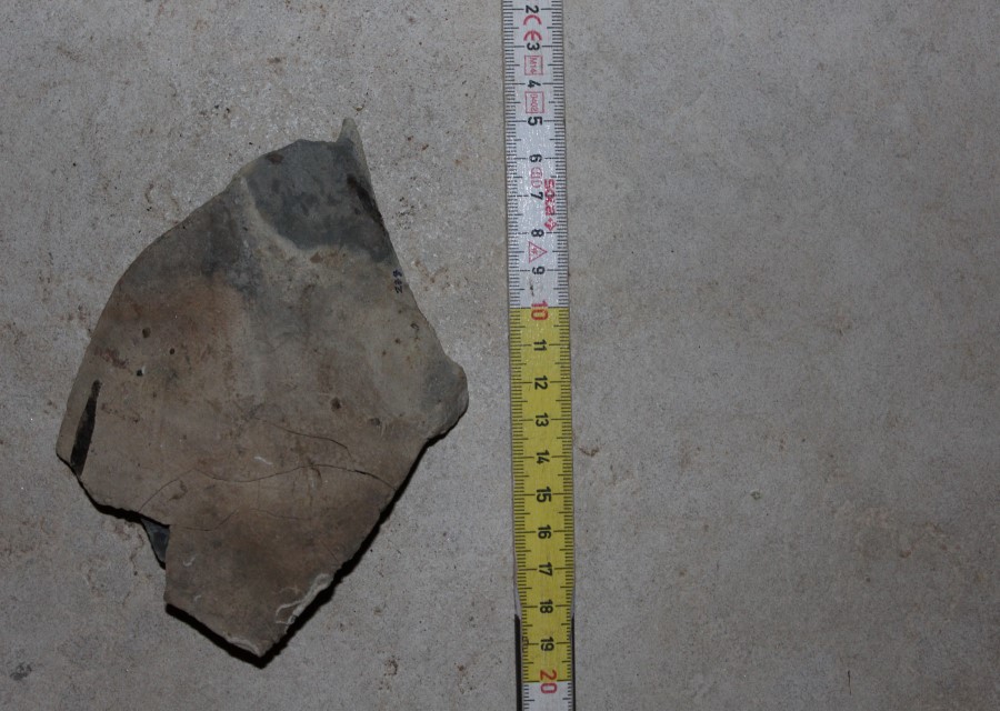 ANFORA, Grado I - produzione italica - istriana (seconda metà sec. II d.C)