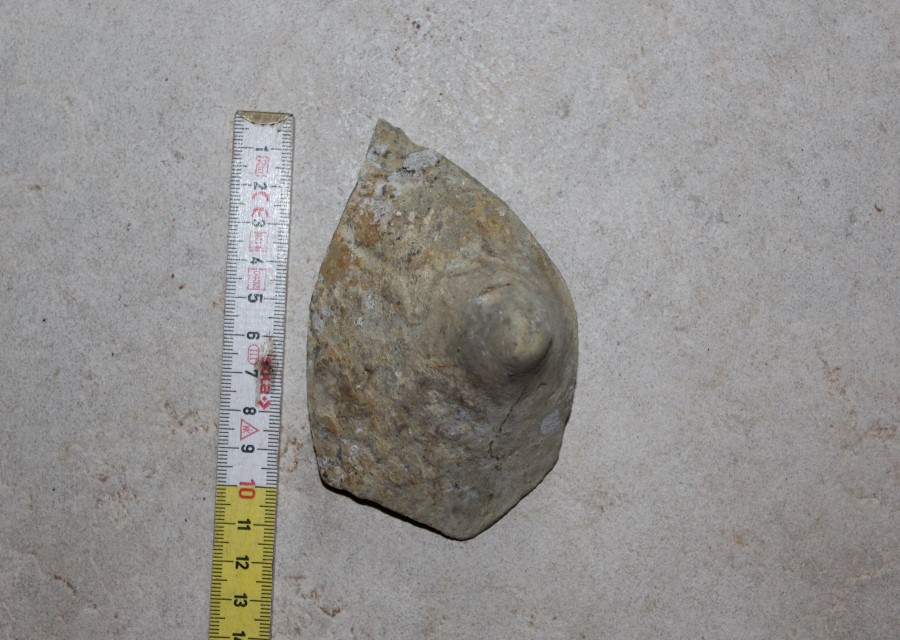 ANFORA, Grado I - produzione italica - istriana (seconda metà sec. II d.C)