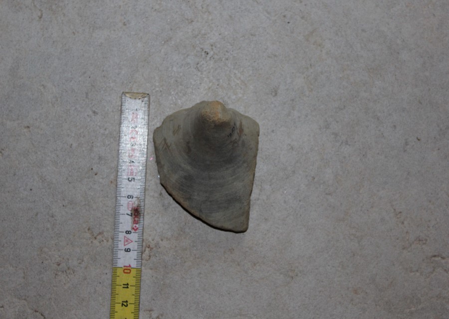 ANFORA, Grado I - produzione italica - istriana (seconda metà sec. II d.C)