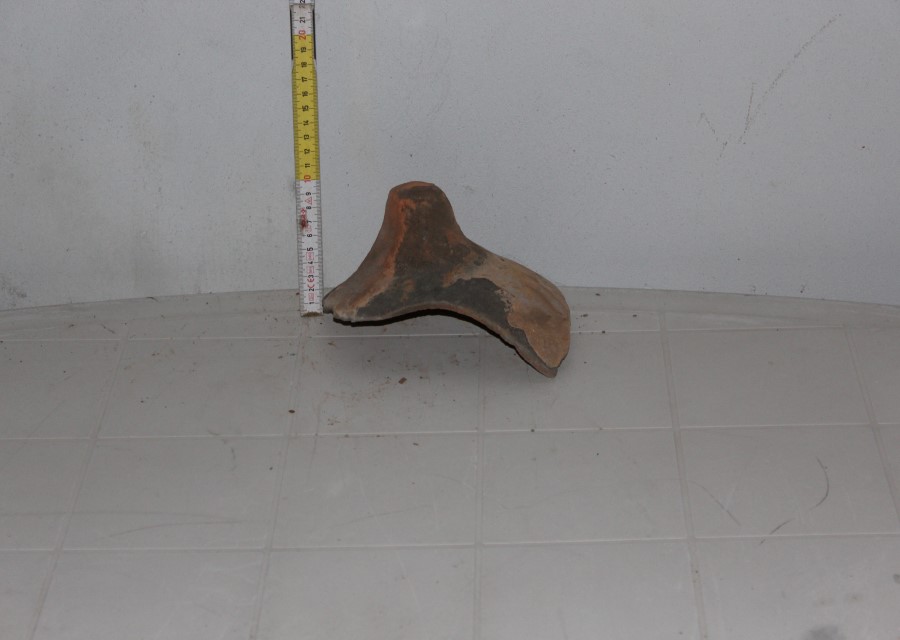 ANFORA, Africana 1a - produzione africana (seconda metà sec. II d.C)