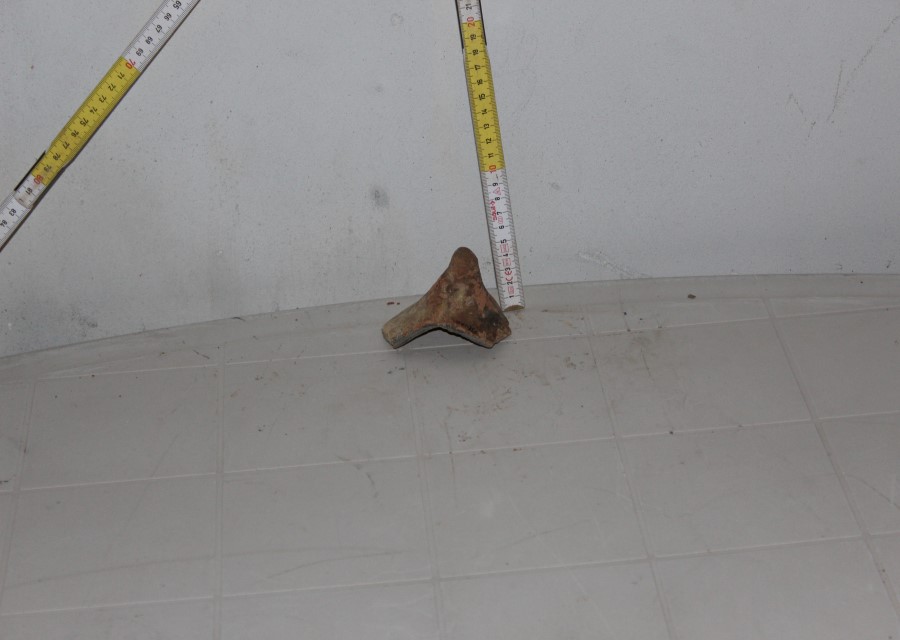 ANFORA, Grado I - produzione italica - istriana (seconda metà sec. II d.C)