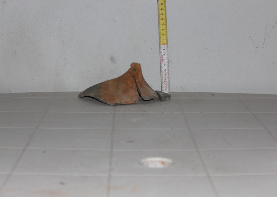 ANFORA, Grado I - produzione italica - istriana (seconda metà sec. II d.C)