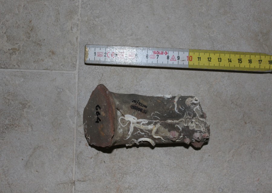 ANFORA, Knossos A 53 dubbia - produzione egea (seconda metà sec. II d.C)