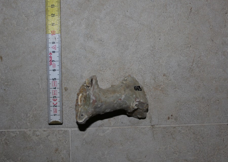 ANFORA, Knossos A 53 dubbia - produzione egea (seconda metà sec. II d.C)