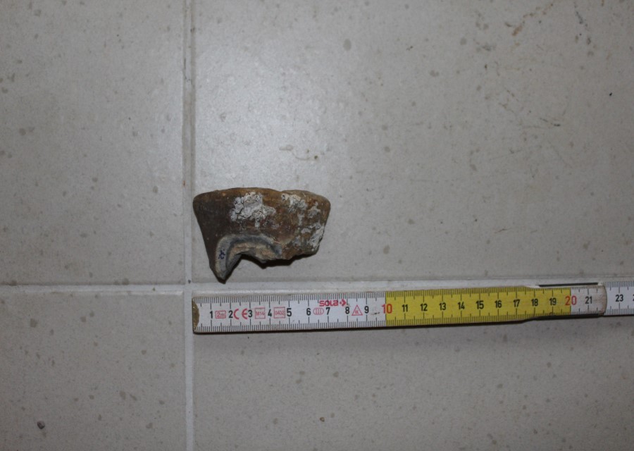 ANFORA, Grado I - produzione italica - istriana (seconda metà sec. II d.C)