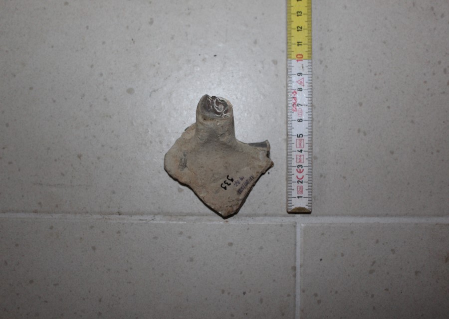 ANFORA, Grado I - produzione italica - istriana (seconda metà sec. II d.C)