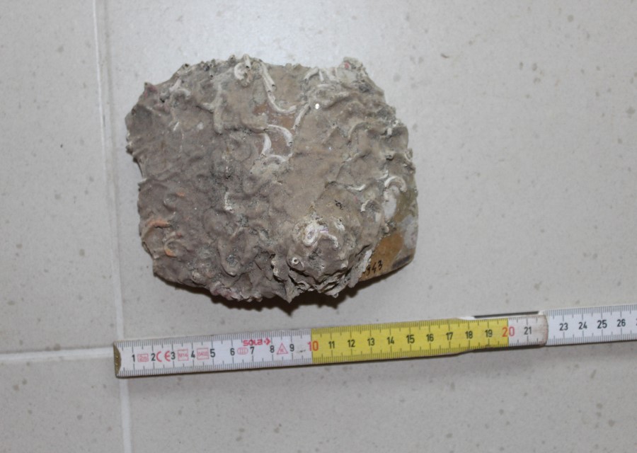 ANFORA, Grado I - produzione italica - istriana (seconda metà sec. II d.C)