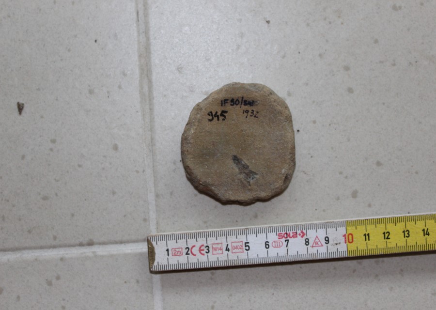 ANFORA/ tappo - ambito romano imperiale (seconda metà sec. II d.C)