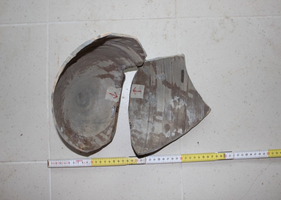 ANFORA, Grado I - produzione italica - istriana (seconda metà sec. II d.C)