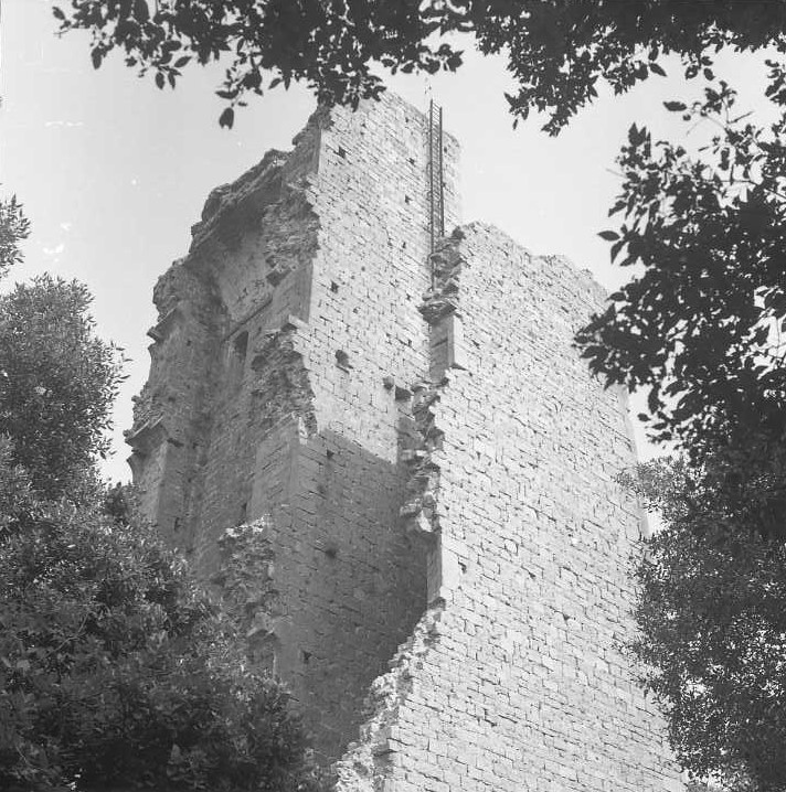 Torre e resti del Castello di Donoratico (fortificazione) - Castagneto Carducci (LI)  (XV)