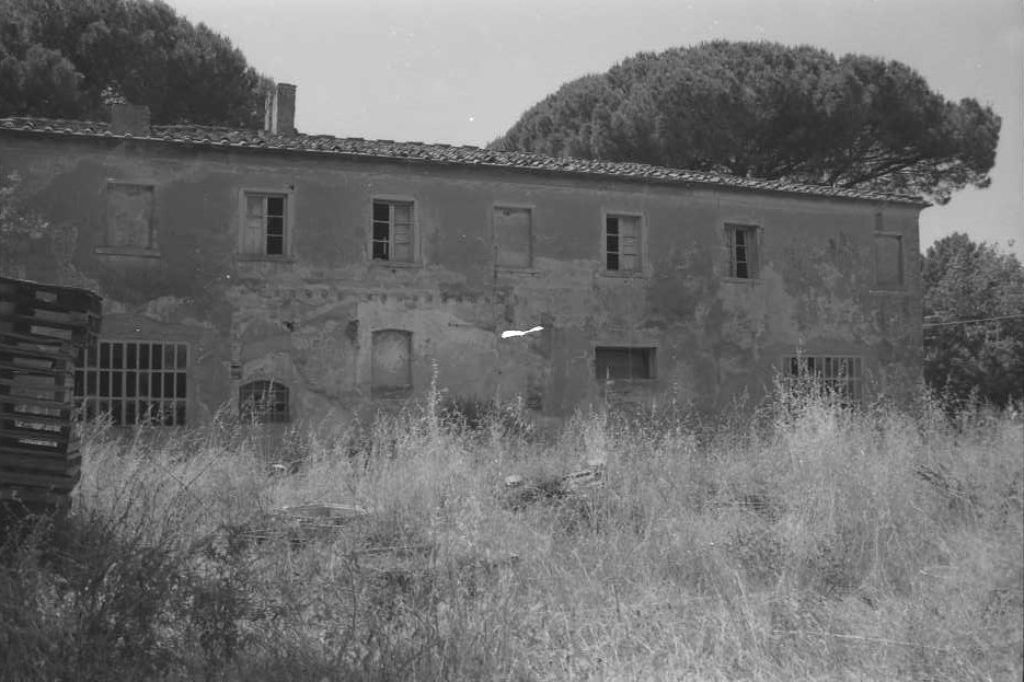 Campo Lupinaio (fattoria, rurale) - Castagneto Carducci (LI) 