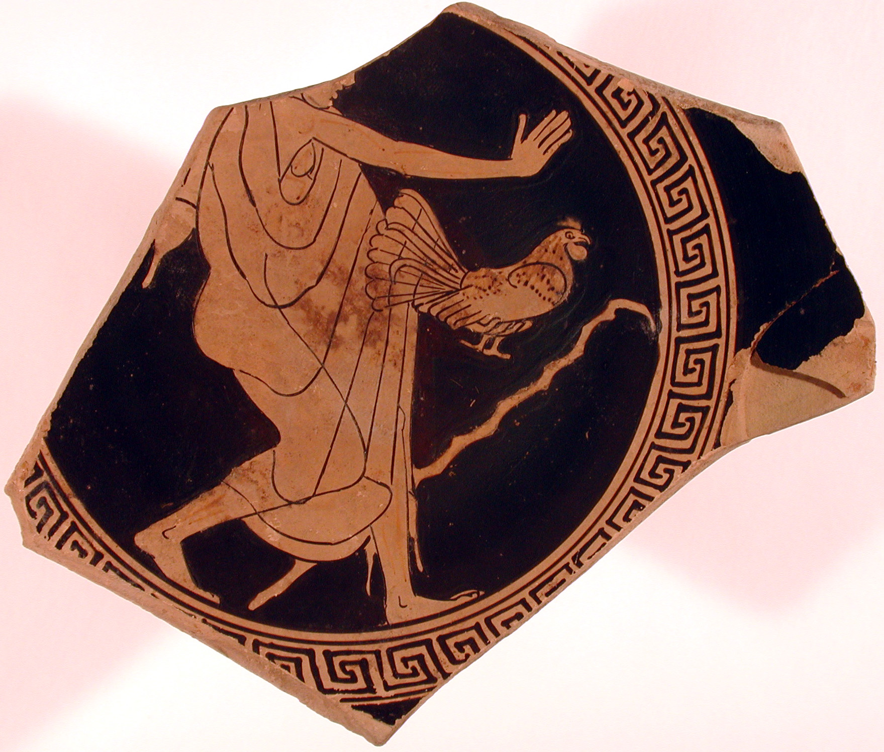 giovane figura maschile con gallo (kylix, tipo B o C) di Makron - produzione attica (primo quarto V sec. a.C)