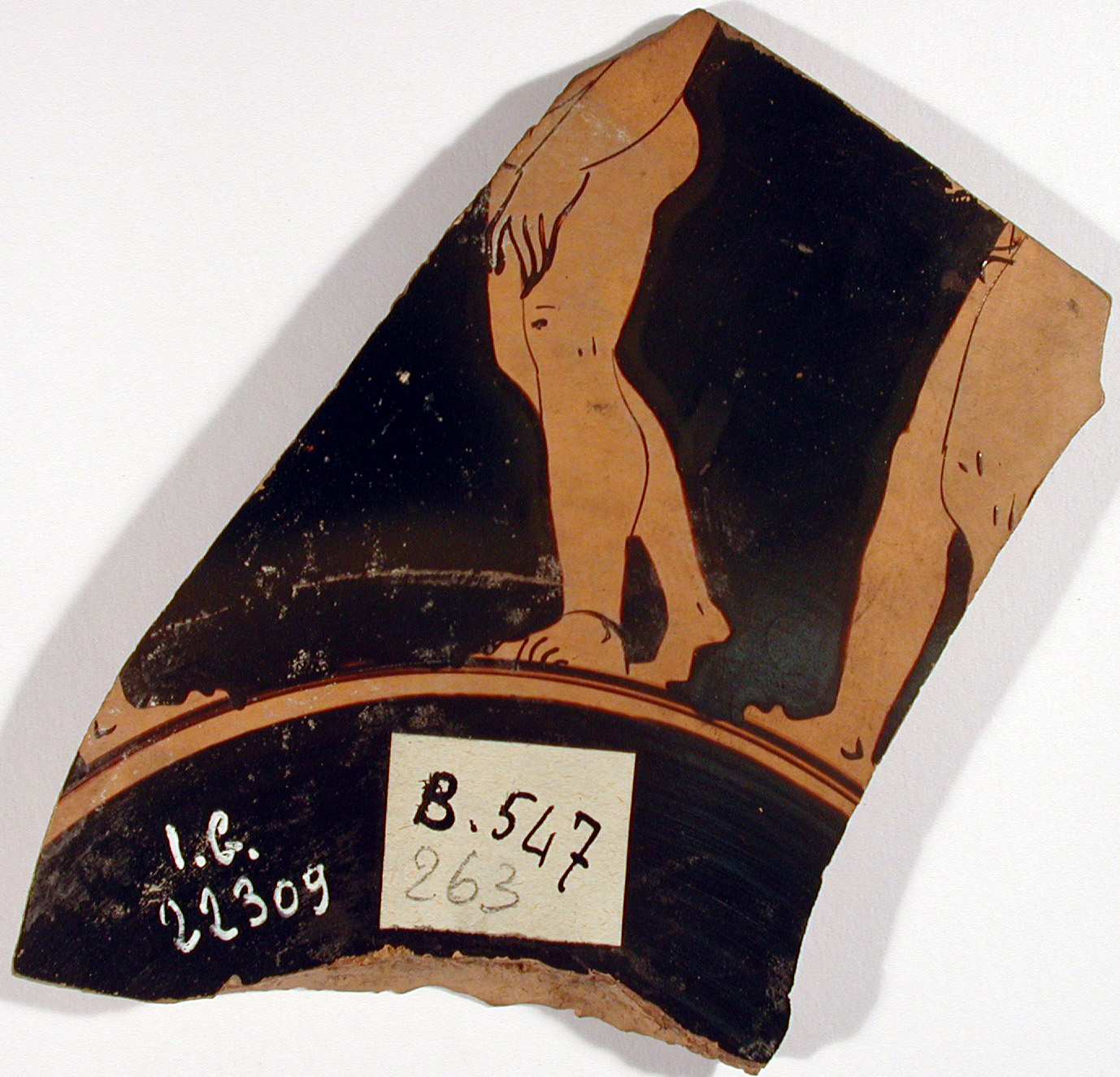 amazzone (?) e giovani figure maschili nude (kylix) di Gruppo sub-midiaco - produzione attica (ultimo quarto V sec. a.C)