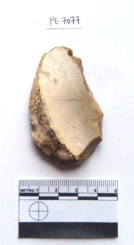 grattatoio (PERIODIZZAZIONI/ Protostoria/ Eta' del Bronzo/ Eta' del Bronzo antico)