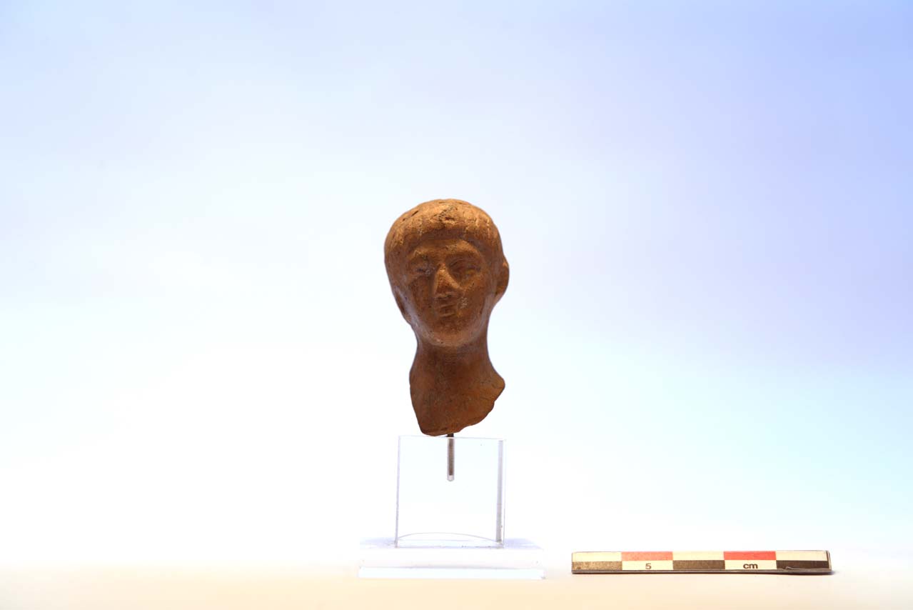 testa, testa maschile - produzione romana (metà I d.C)