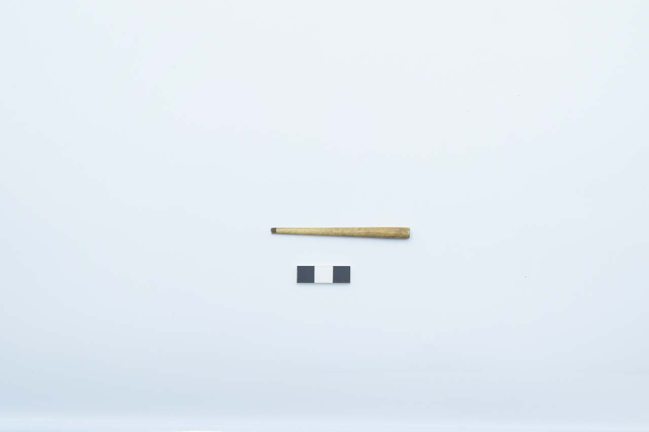 materiale di collezione museale (OSSO-CORNO-AVORIO) (I-IV d.C)