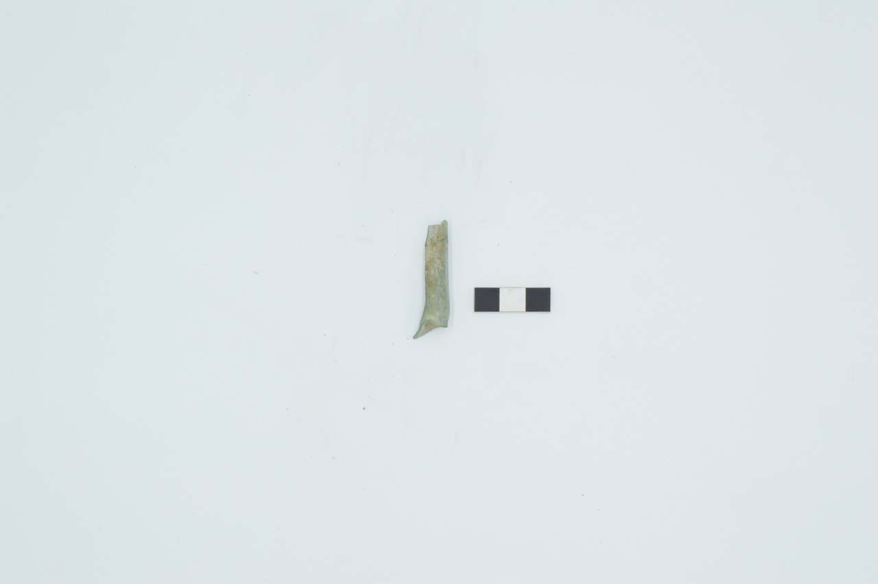 balsamario, Isings 8/28 - produzione romana (seconda metà I d.C)