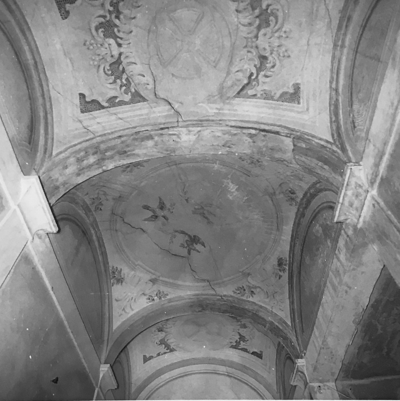 motivi fitomorfici (soffitto decorato, opera isolata) - ambito toscano (XVIII)