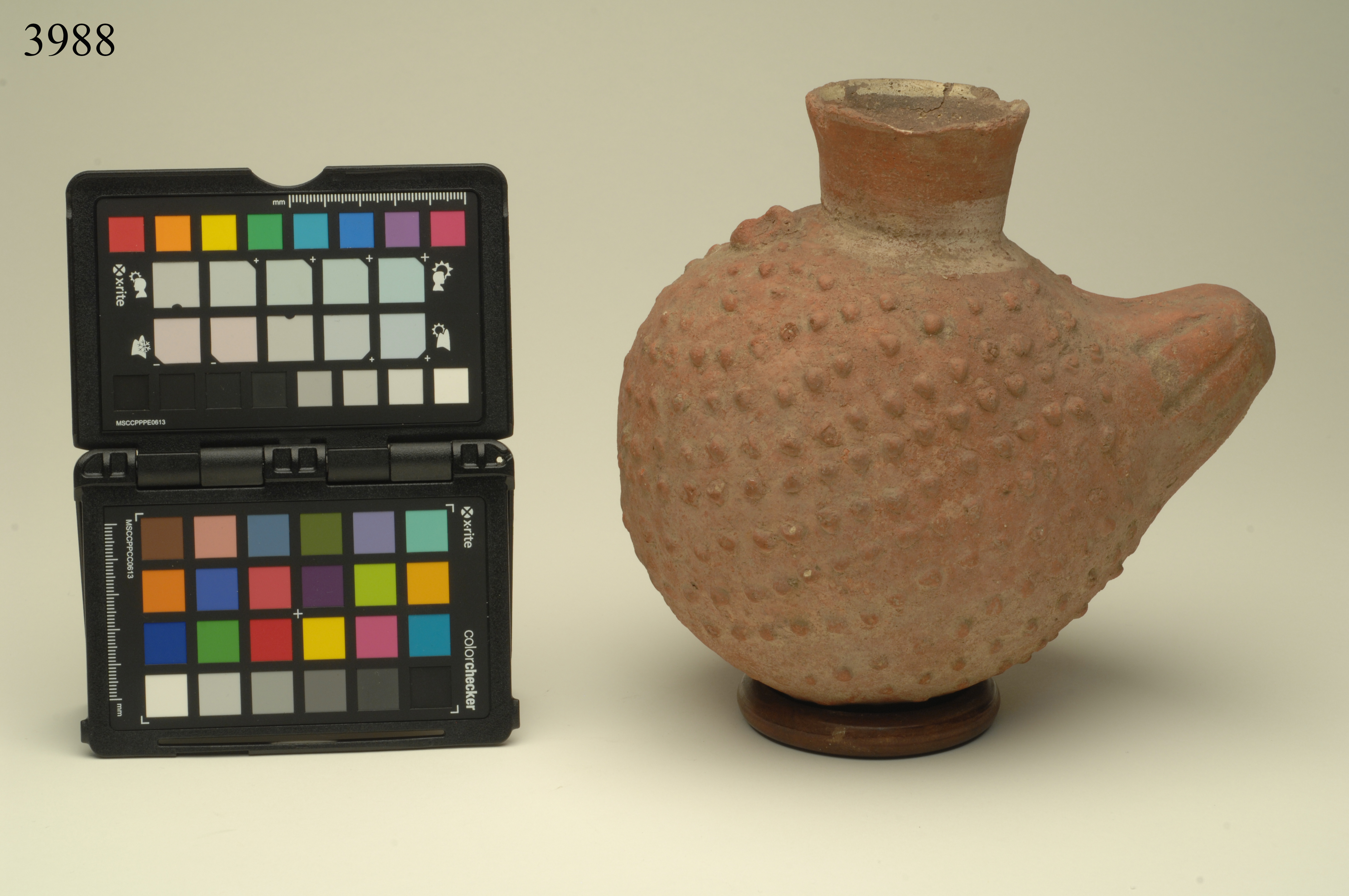 bottiglia, ad effigie fitomorfa, ARREDI E SUPPELLETTILI/ CONTENITORI, RECIPIENTI E OGGETTI DI USO DOMESTICO - cultura Chimù