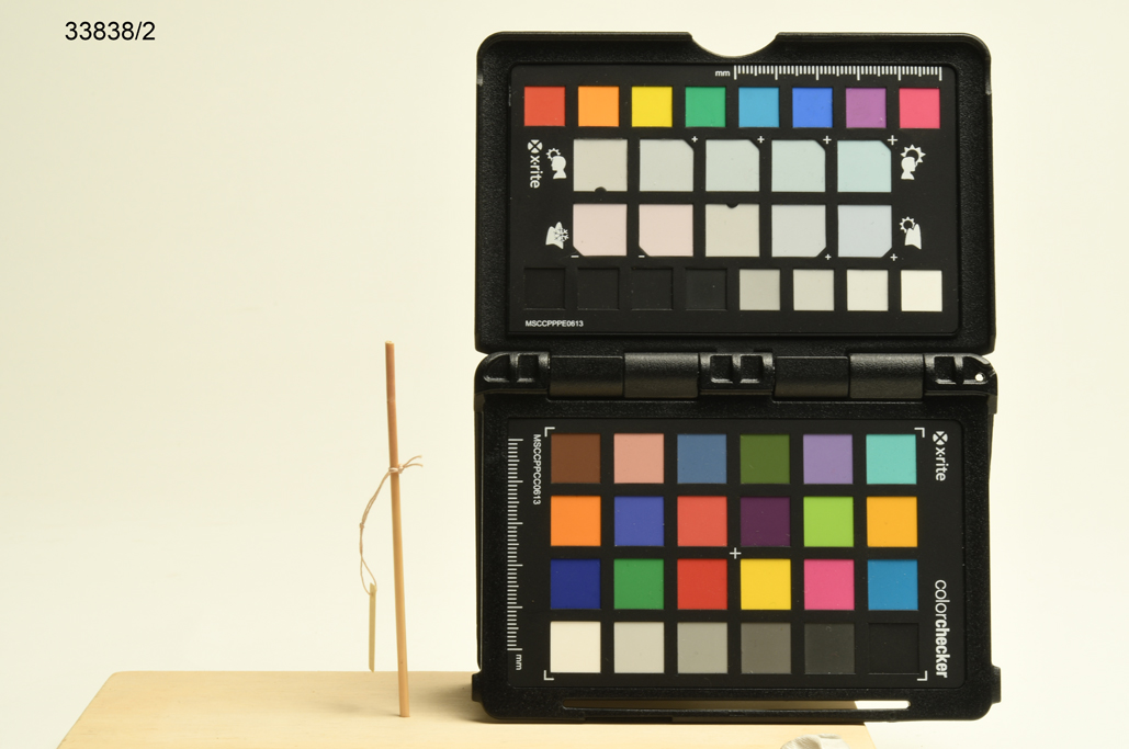 Piri mahi (orecchino, per orecchio, naso e labbra, ABBIGLIAMENTO E ORNAMENTI DEL CORPO/ GIOIELLI E MONILI) - cultura Yanomami