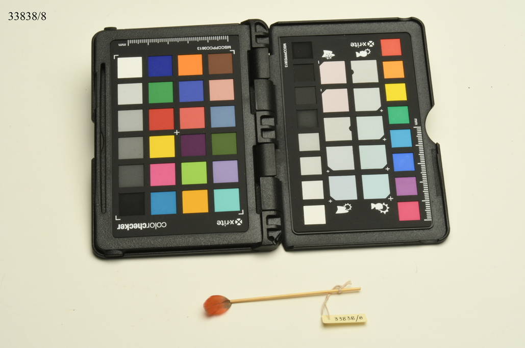 Piri mahi (orecchino, per orecchie, naso e labbra, ABBIGLIAMENTO E ORNAMENTI DEL CORPO/ GIOIELLI E MONILI) - cultura Yanomami