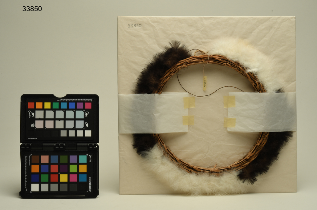 Paari hek (testiera, ABBIGLIAMENTO E ORNAMENTI DEL CORPO/ ACCESSORI) - cultura Yanomami