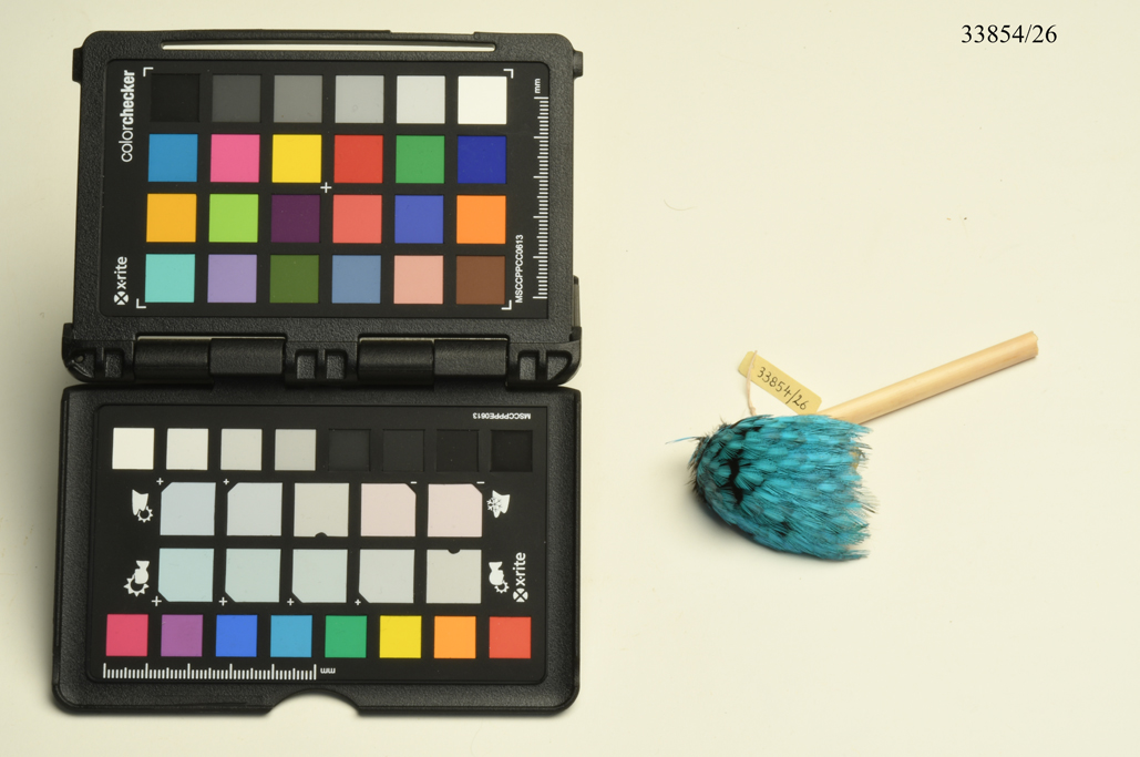 Xinapé (orecchino, ABBIGLIAMENTO E ORNAMENTI DEL CORPO/ GIOIELLI E MONILI) - cultura Yanomami