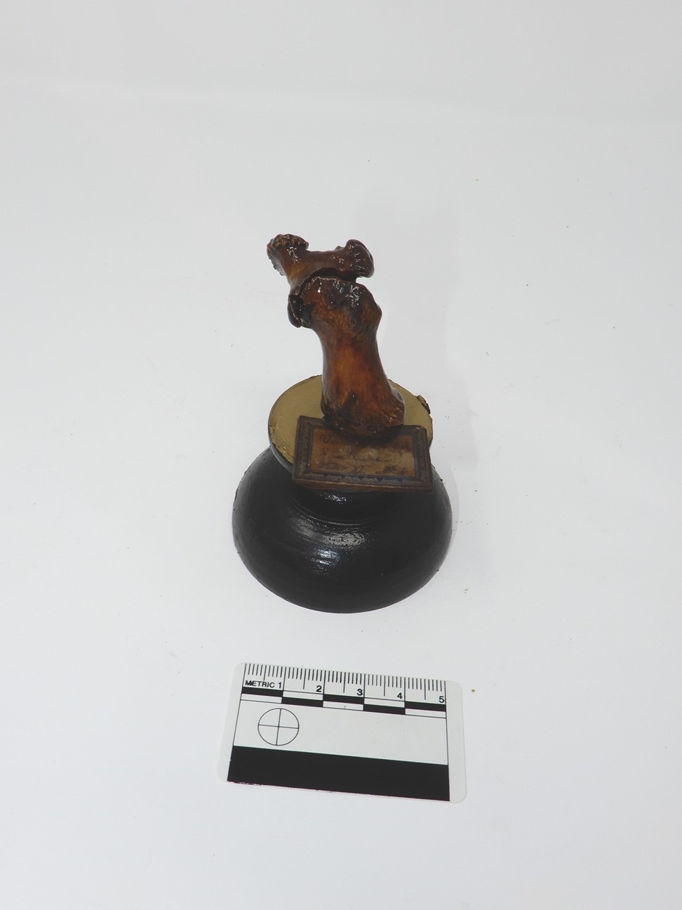 singolo reperto antropologico, reperto osseo (morfologia alterata per patologia) (XIX-XX)