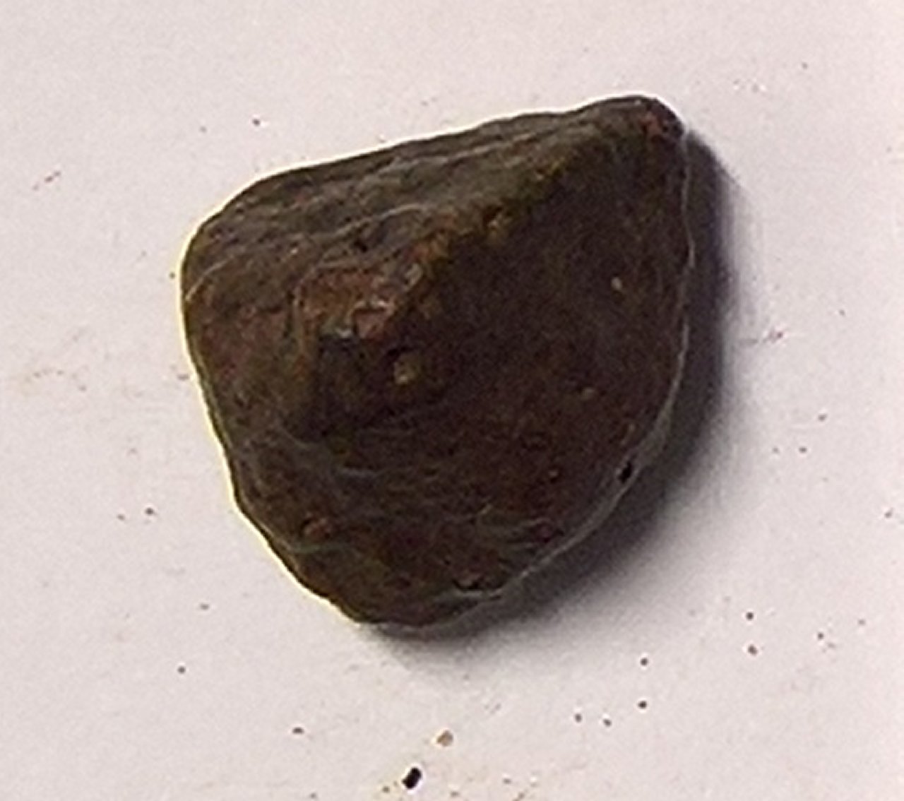 Kerman 220 Condrite Ordinaria