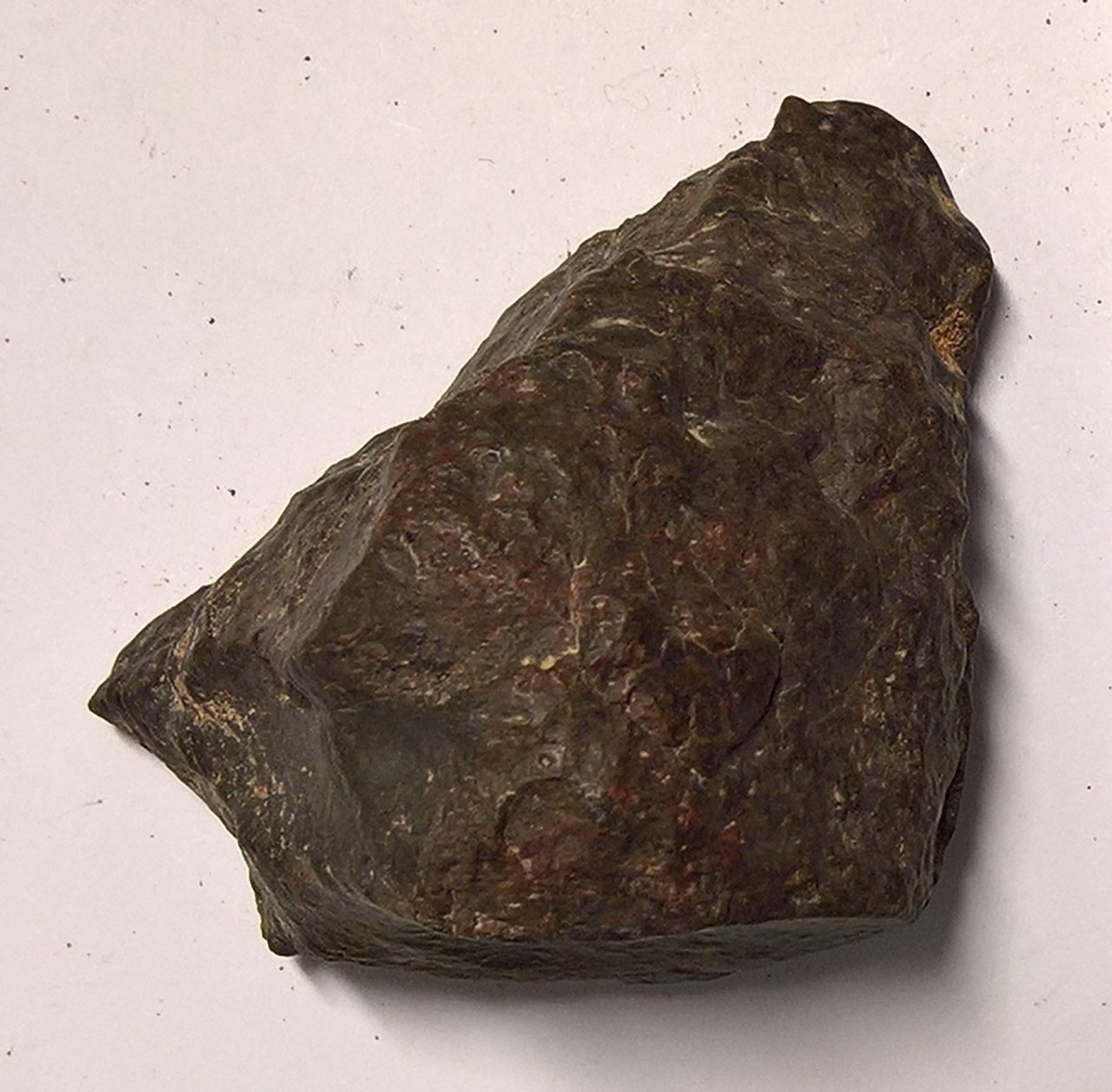 Kerman 205 Condrite Ordinaria