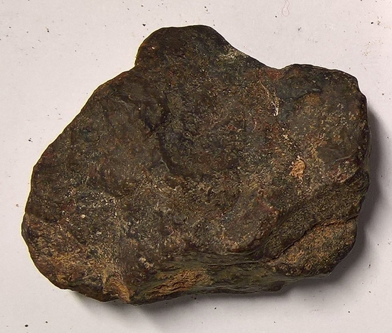 Kerman 209 Condrite Ordinaria