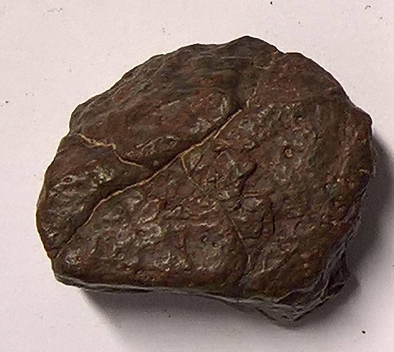 Kerman 225 Condrite Ordinaria