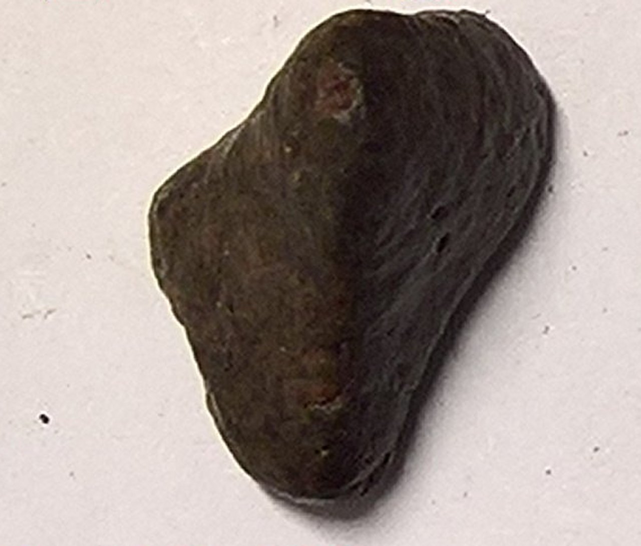 Kerman 219 Condrite Ordinaria