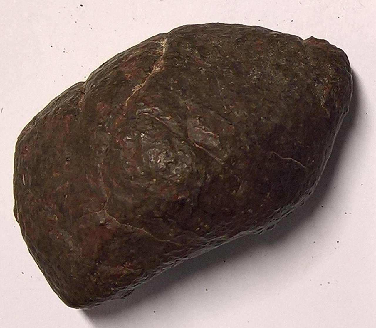 Kerman 215 Condrite Ordinaria