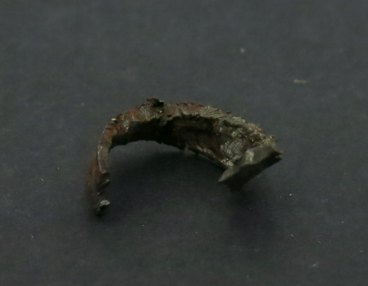 Metallica non classificata