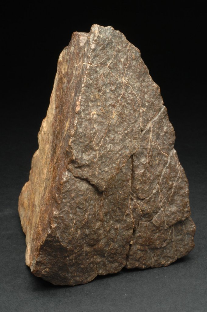 PLATEAU DU TADEMAIT 003 Condrite Ordinaria