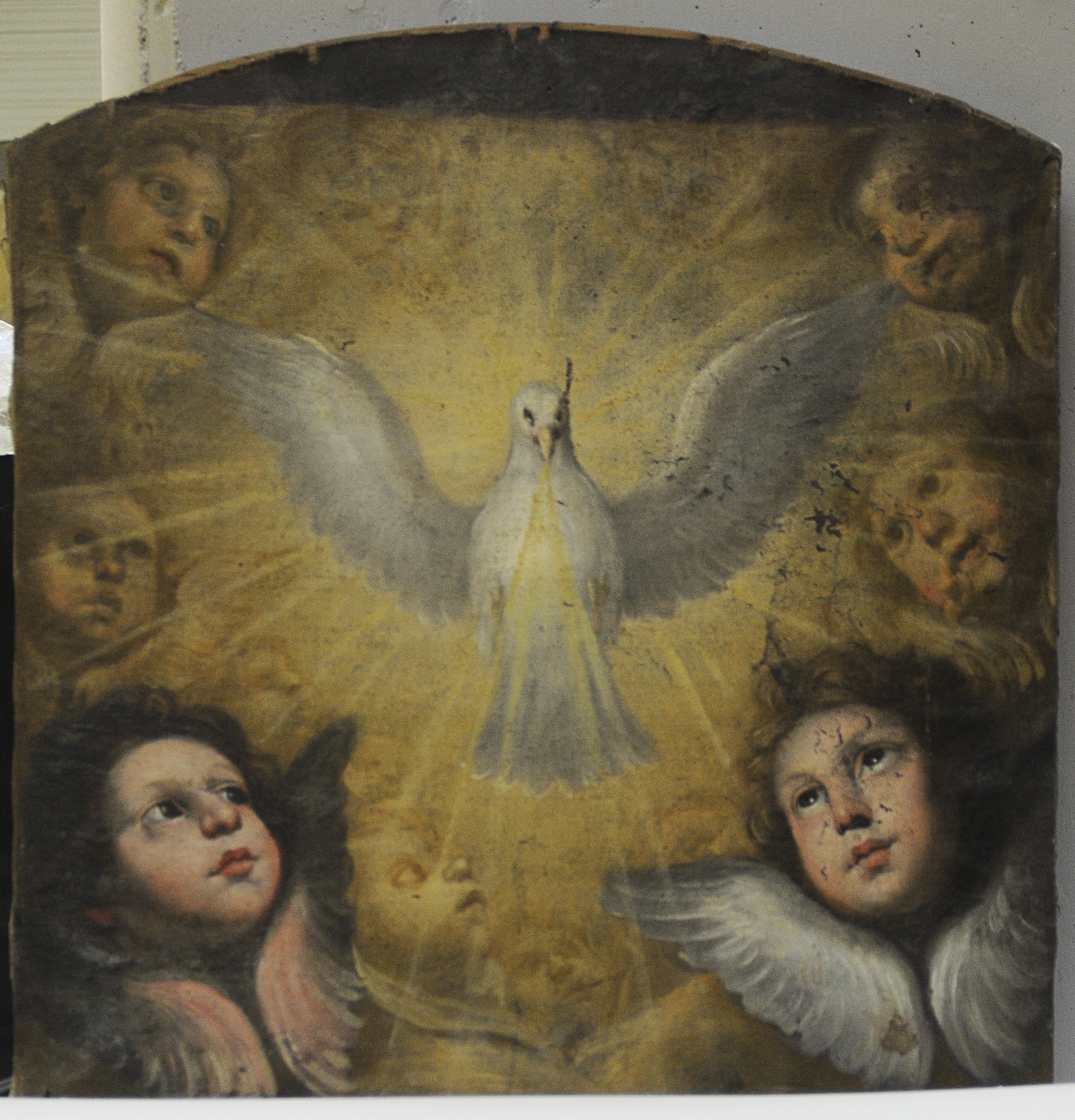 colomba dello Spirito Santo e cherubini (dipinto, elemento d'insieme) di Manenti Vincenzo (attribuito) (metà XVII)